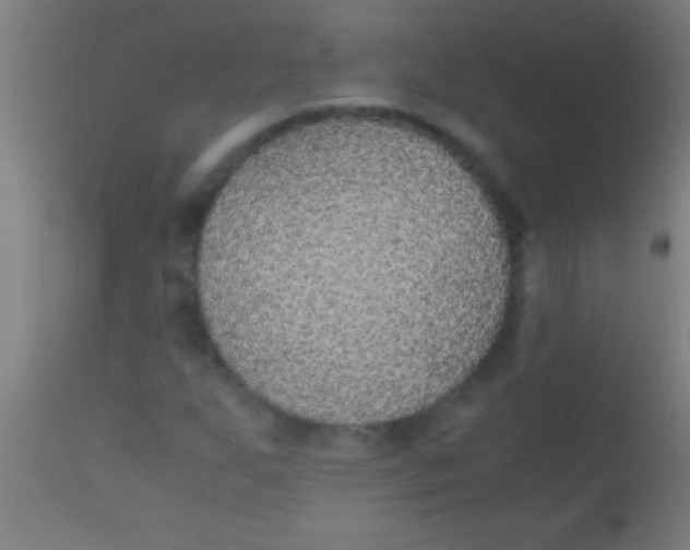 X0000110711255200907022014
