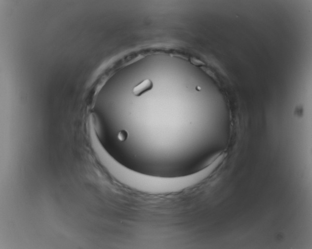 X0000110711256200907022014