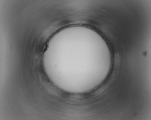 X0000110711257200907022014
