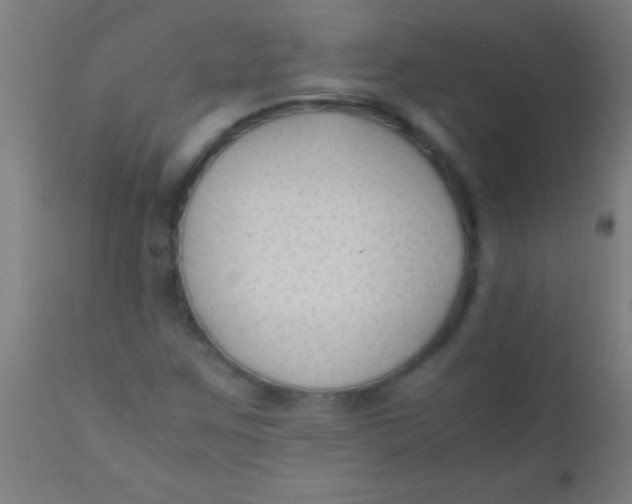 X0000110711259200907022014