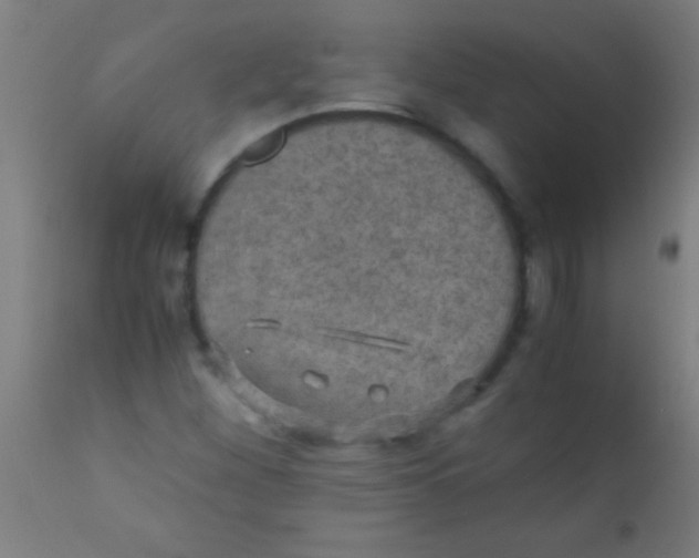 X0000110711260200907022014