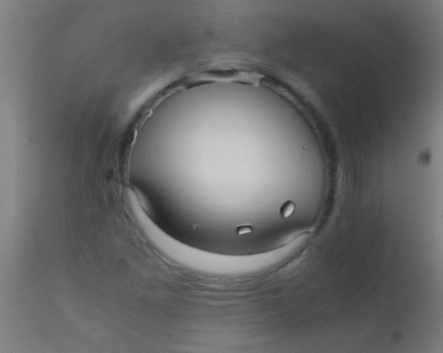 X0000110711261200907022014