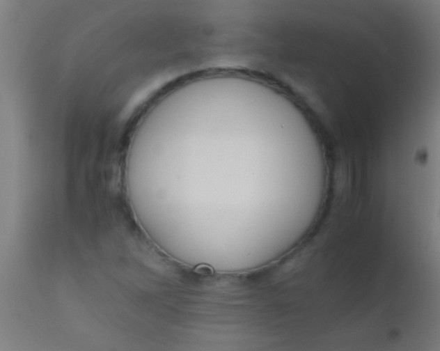 X0000110711262200907022014