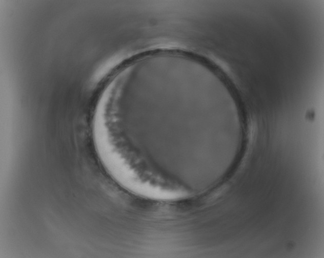 X0000110711263200907022014