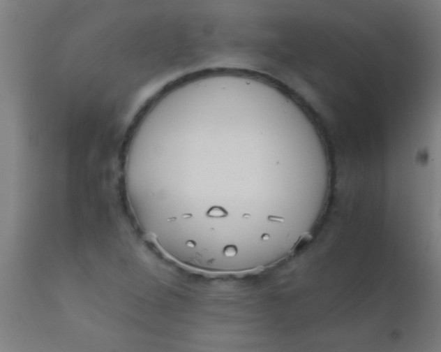 X0000110711264200907022014