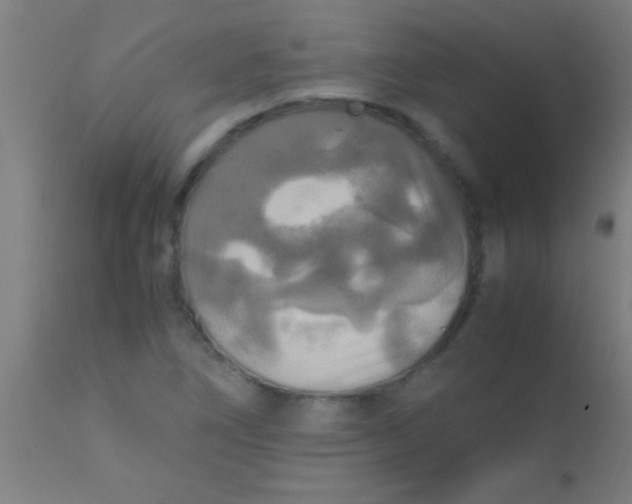 X0000110711266200907022014