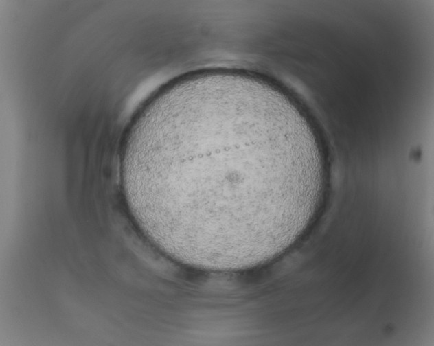 X0000110711267200907022013