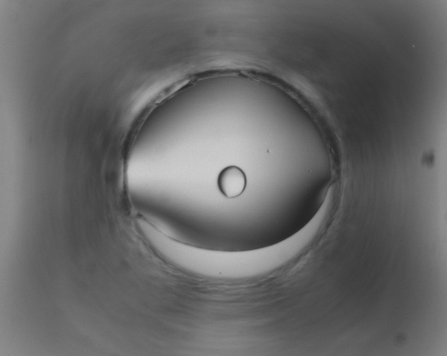 X0000110711269200907022013