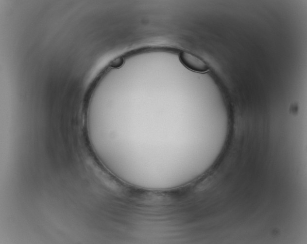 X0000110711270200907022013