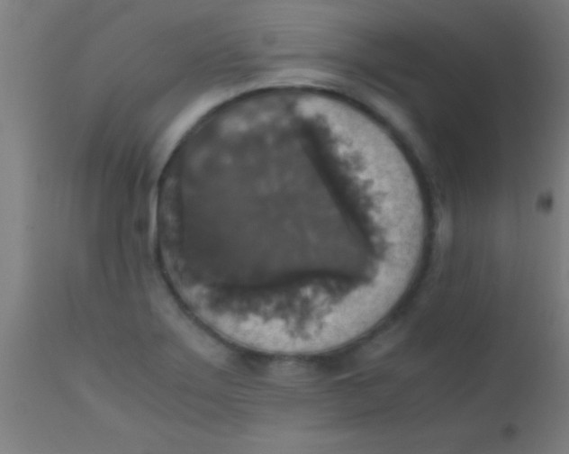 X0000110711275200907022013