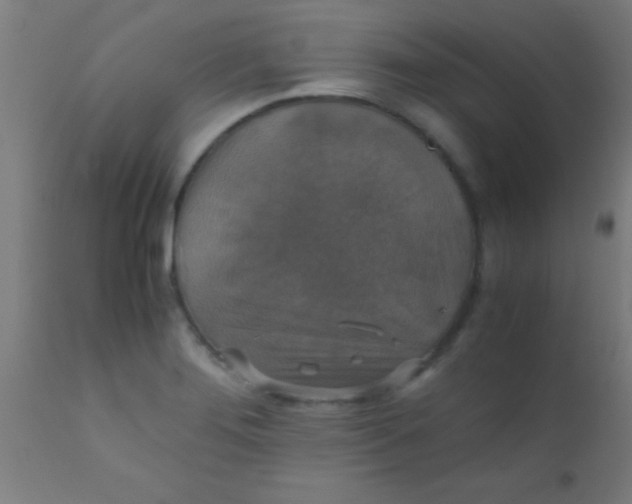 X0000110711276200907022013