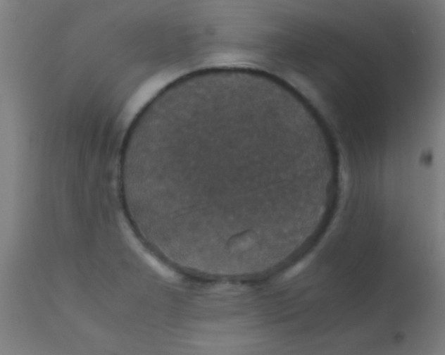X0000110711277200907022013