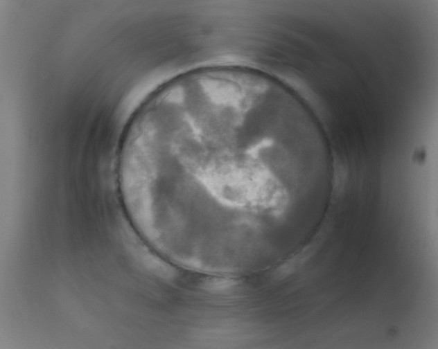 X0000110711278200907022013