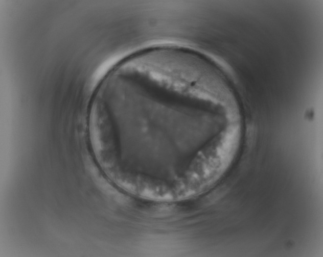 X0000110711279200907022013