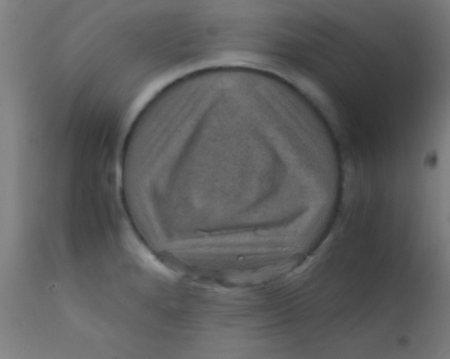 X0000110711280200907022013