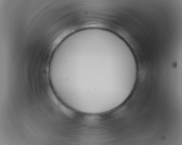 X0000110711282200907022013