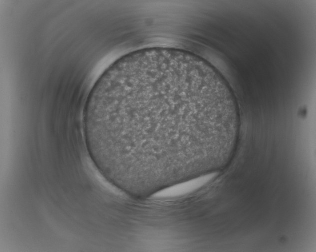 X0000110711283200907022013