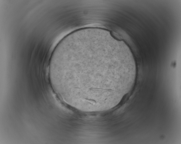 X0000110711284200907022013