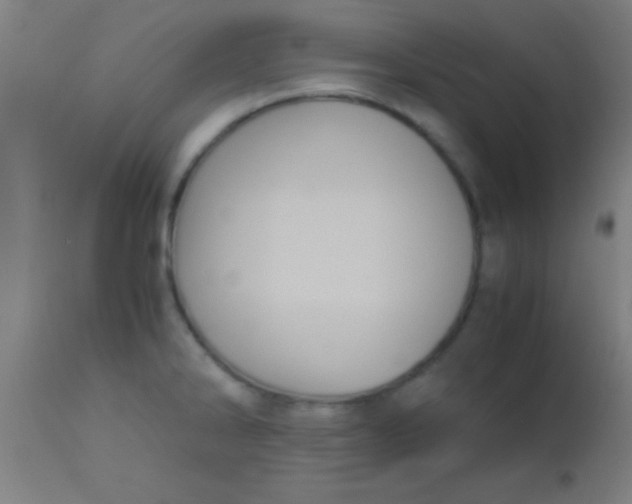 X0000110711286200907022013