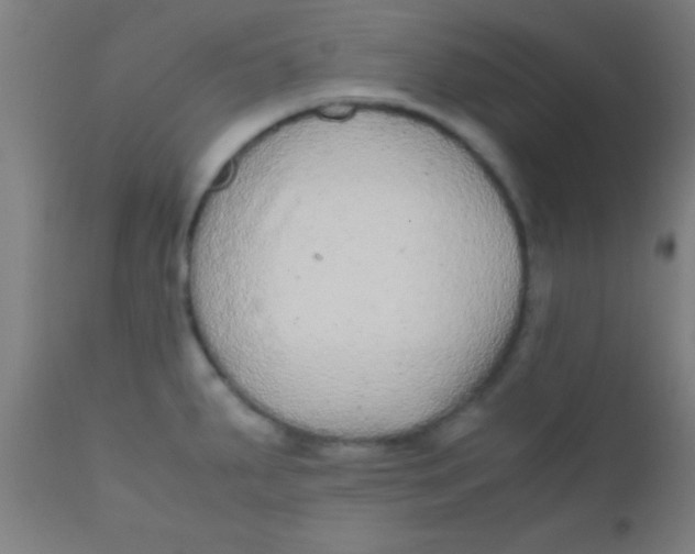 X0000110711287200907022013