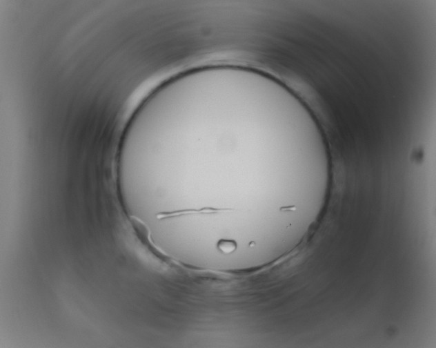 X0000110711288200907022013