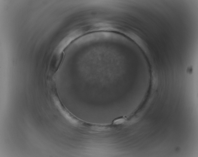 X0000110711289200907022013