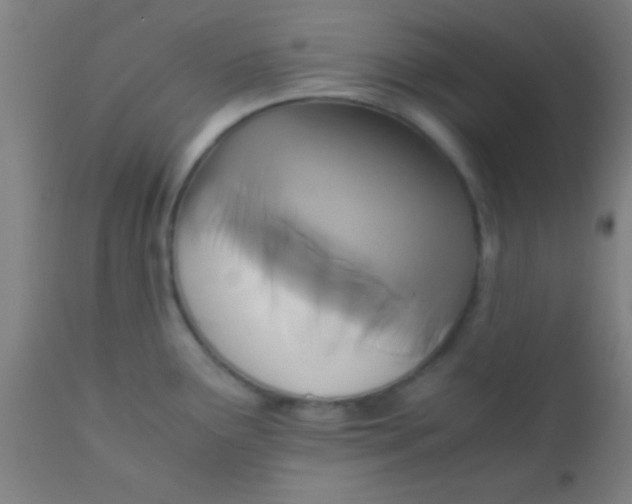 X0000110711291200907022013