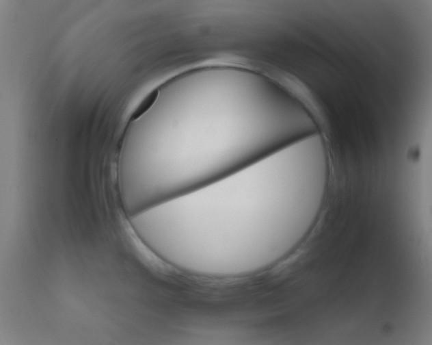 X0000110711292200907022013