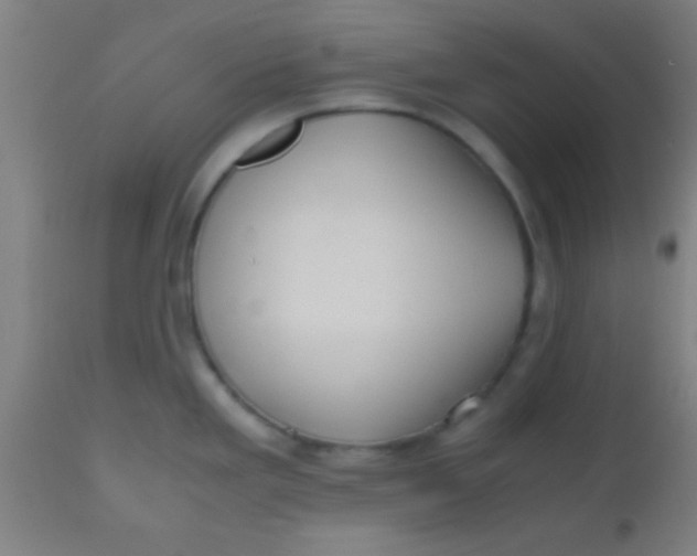 X0000110711293200907022013