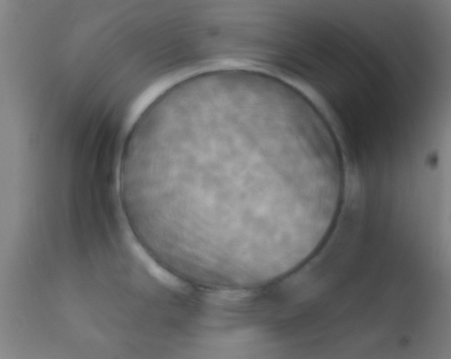 X0000110711294200907022013
