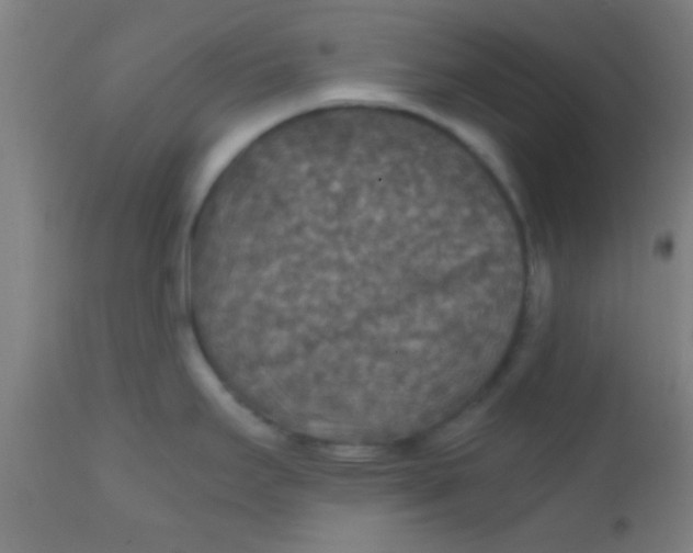 X0000110711295200907022013