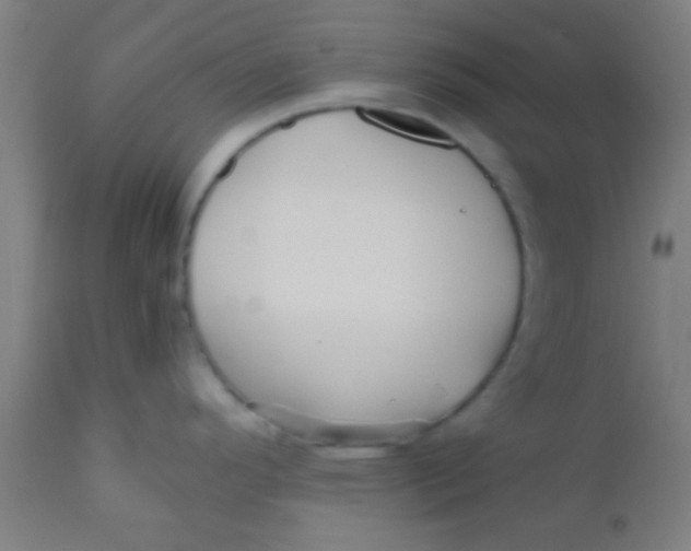 X0000110711296200907022013