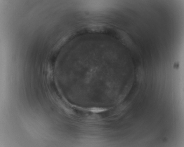 X0000110711298200907022012