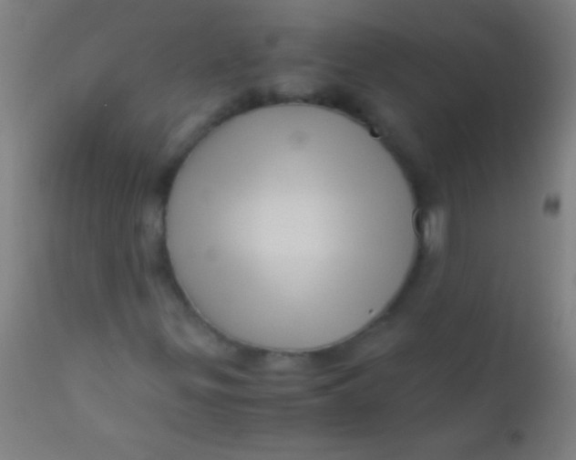 X0000110711299200907022012