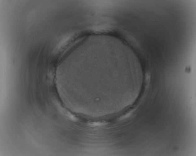 X0000110711300200907022012