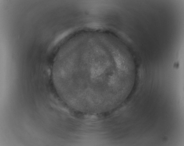 X0000110711302200907022012