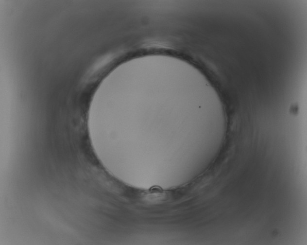 X0000110711303200907022012