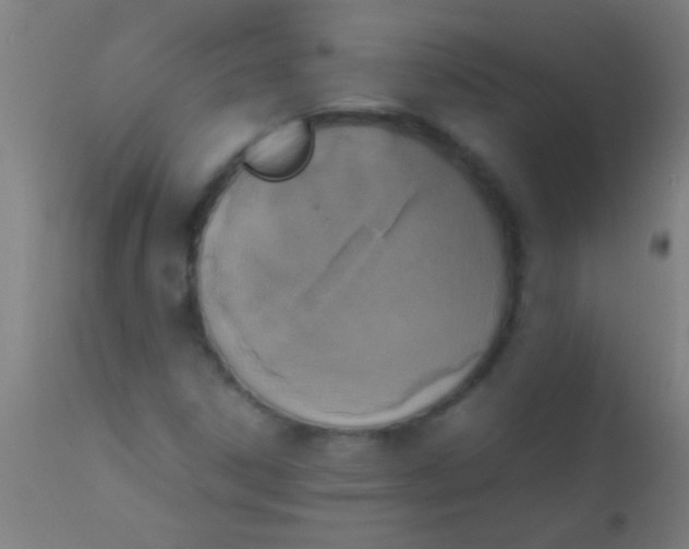 X0000110711306200907022012