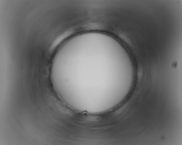 X0000110711309200907022012