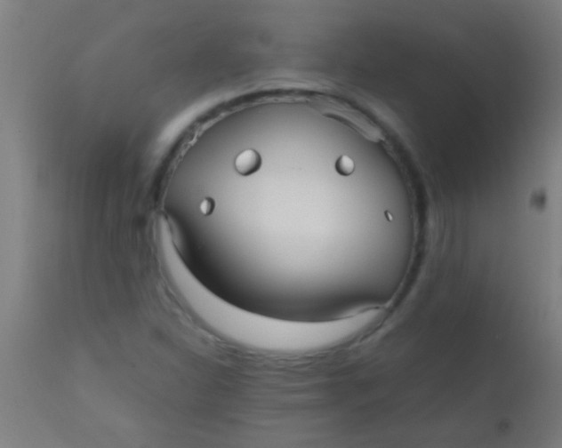 X0000110711310200907022012
