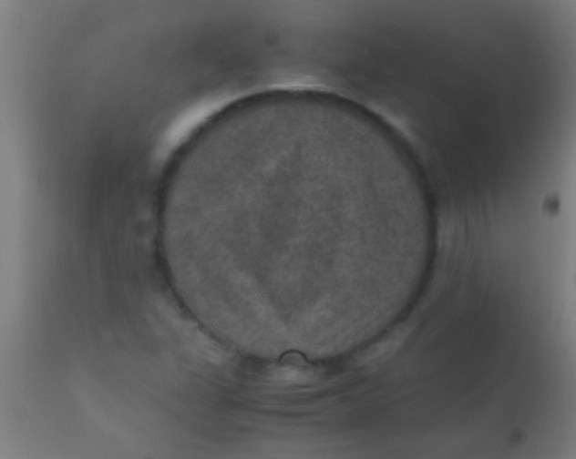 X0000110711311200907022013