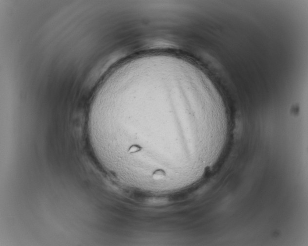 X0000110711313200907022013