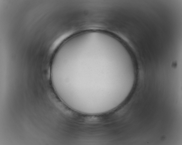 X0000110711317200907022013