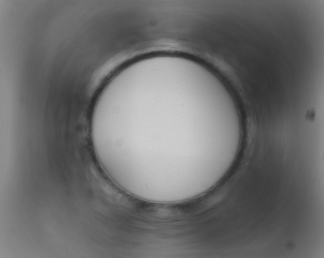 X0000110711318200907022013