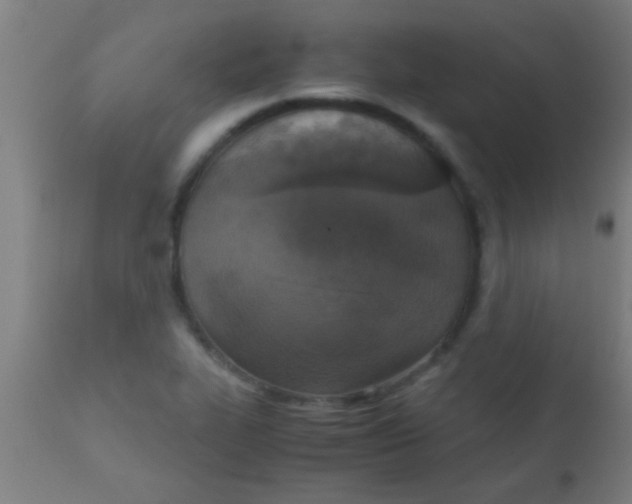 X0000110711319200907022013