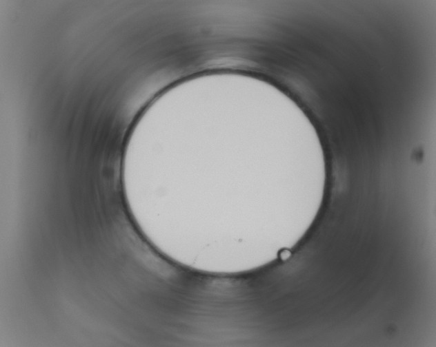 X0000110711322200907022013