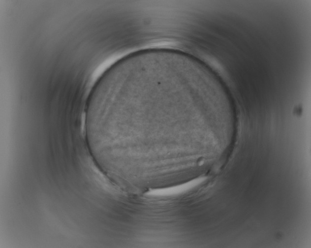 X0000110711324200907022013