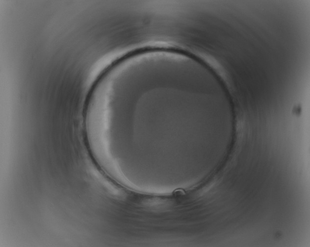 X0000110711327200907022013