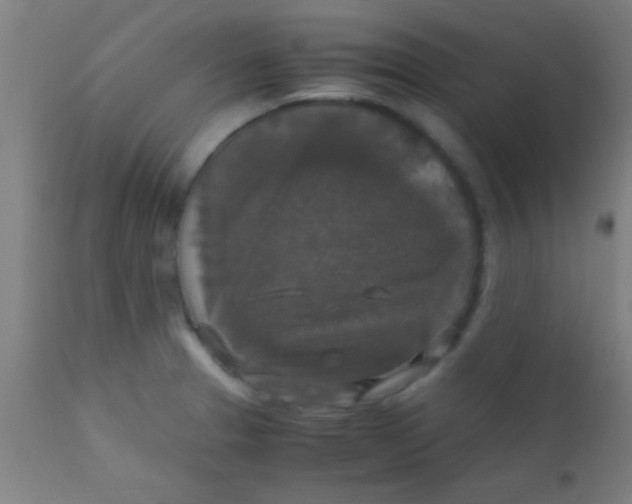 X0000110711329200907022013