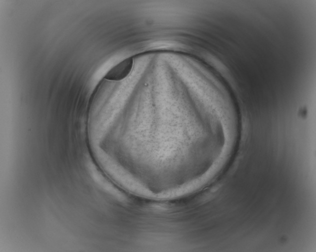 X0000110711330200907022013